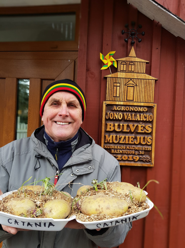 Bulvės muziejus