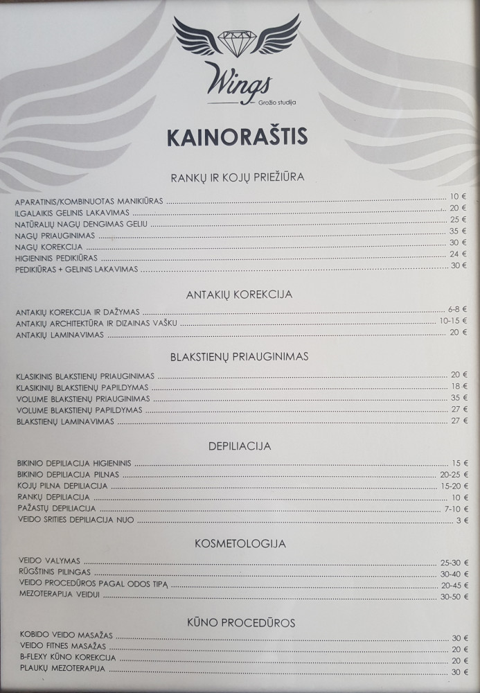 Wings, grožio studija
