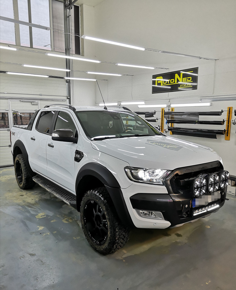 AutoNed Styling