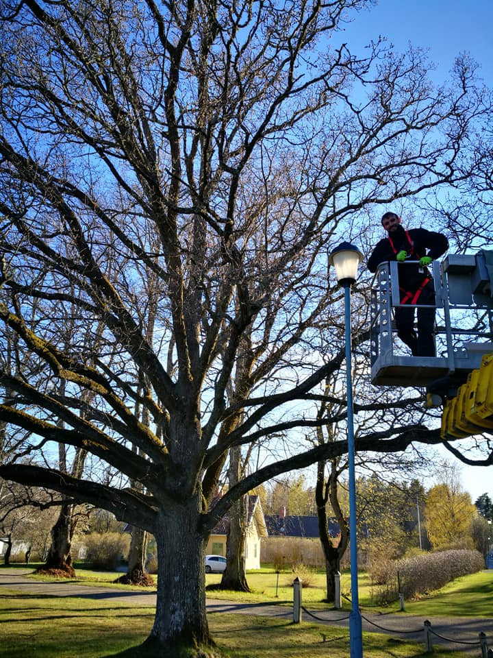 Elektros skydas, MB