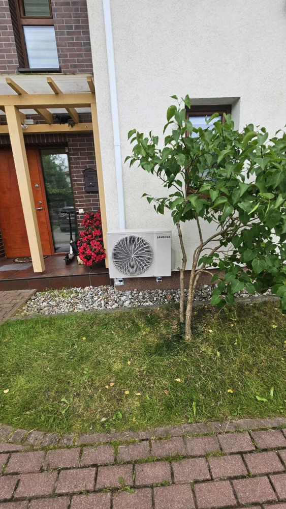 Žalias pasaulis, MB