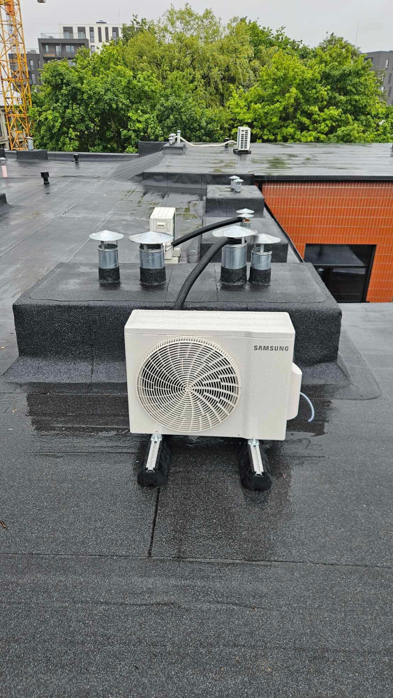 Žalias pasaulis, MB