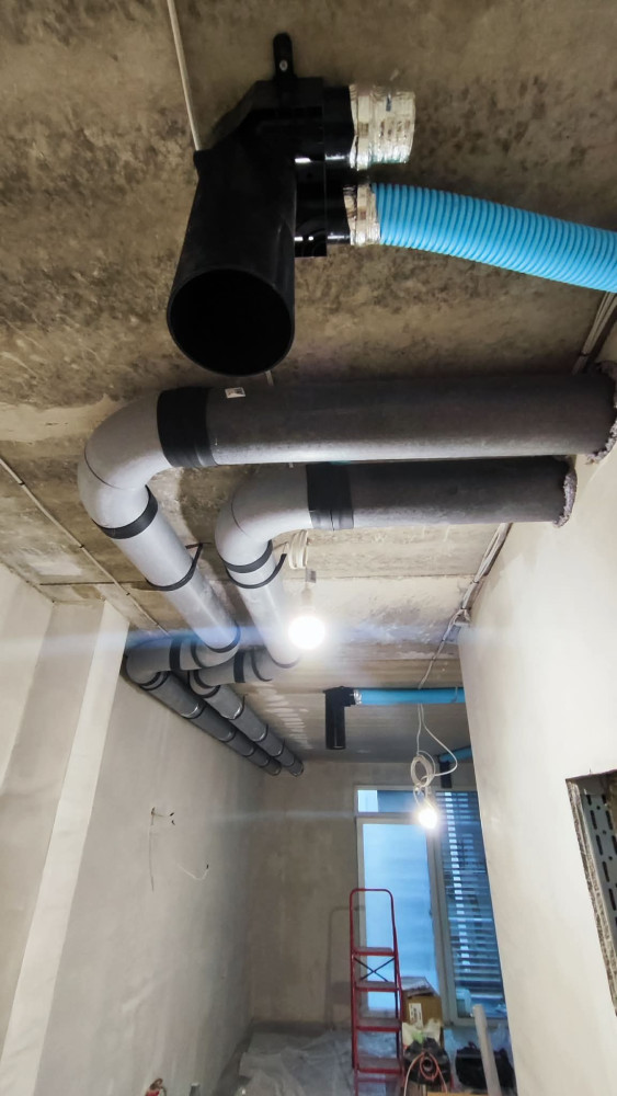 Žalias pasaulis, MB