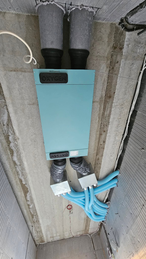 Žalias pasaulis, MB