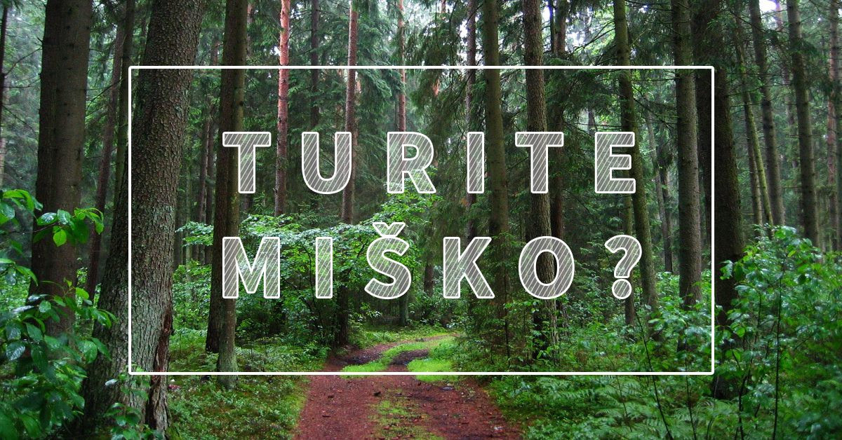 Drangė, MB
