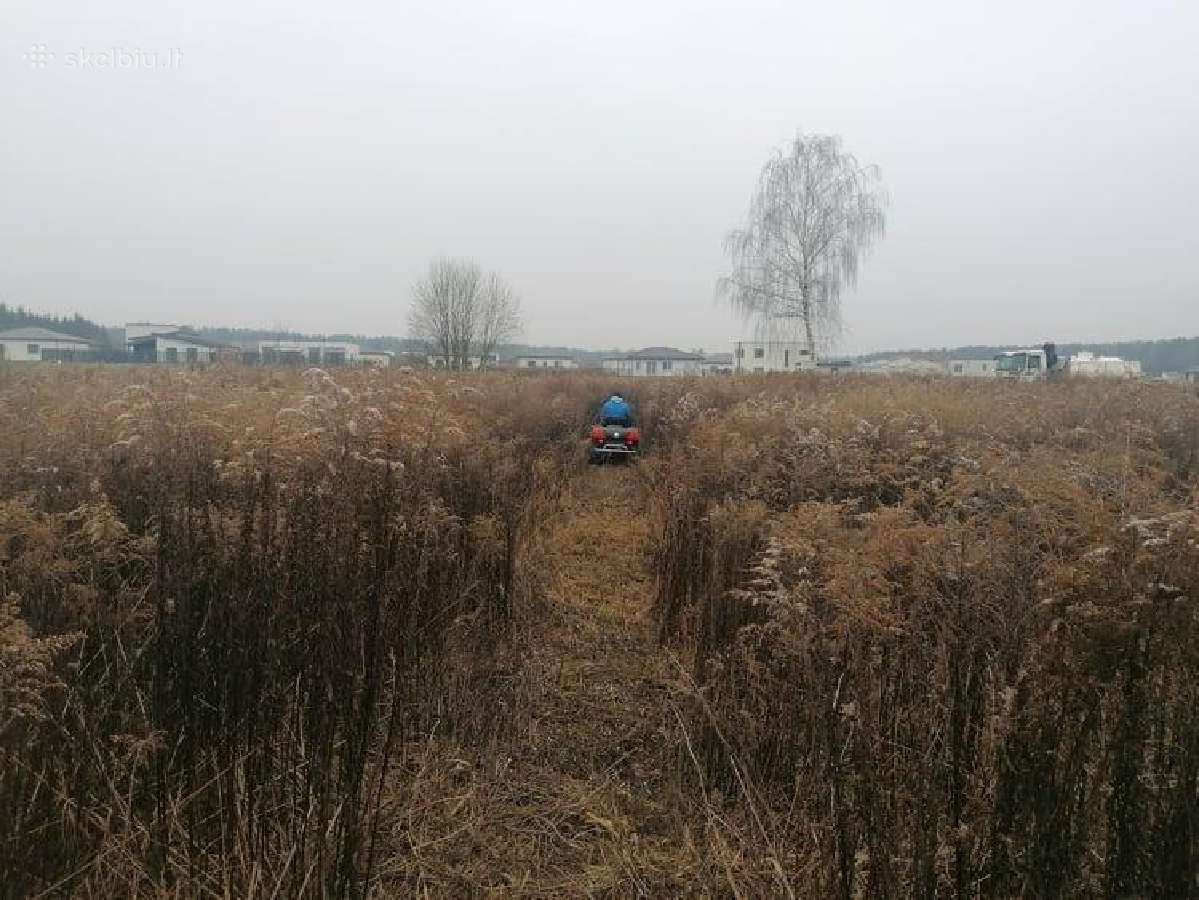 RDA-Vėja, MB