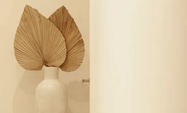 SANA odontologijos klinika