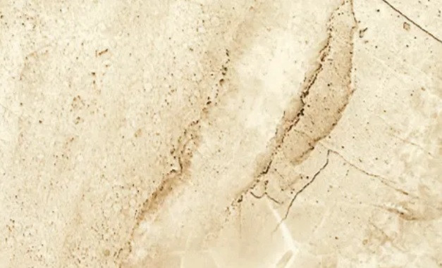 SANA odontologijos klinika