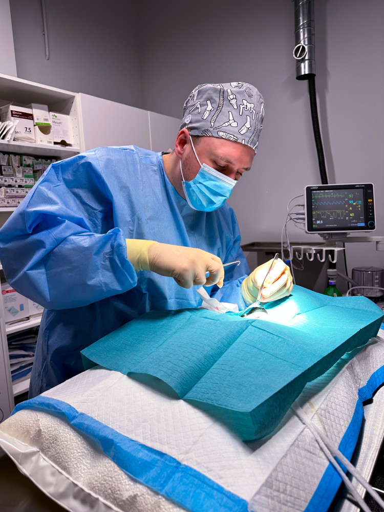 Begemotas, veterinarinės medicinos centras, UAB