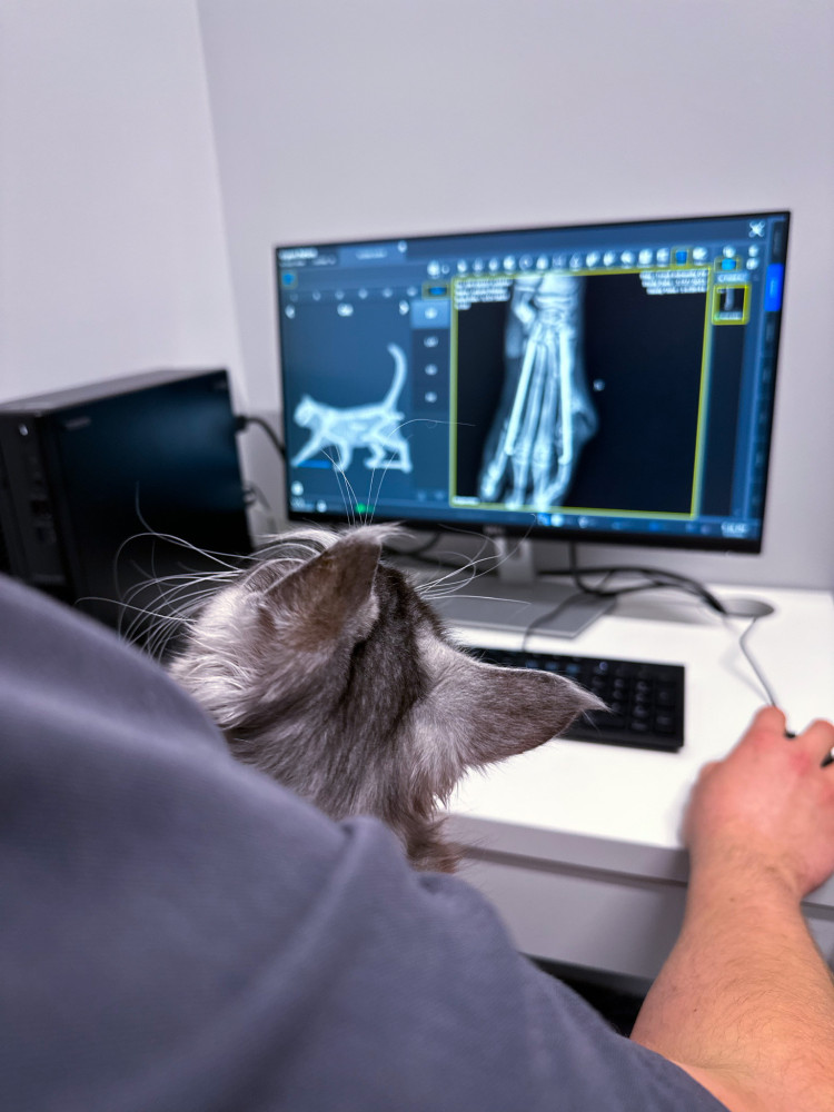 Begemotas, veterinarinės medicinos centras, UAB
