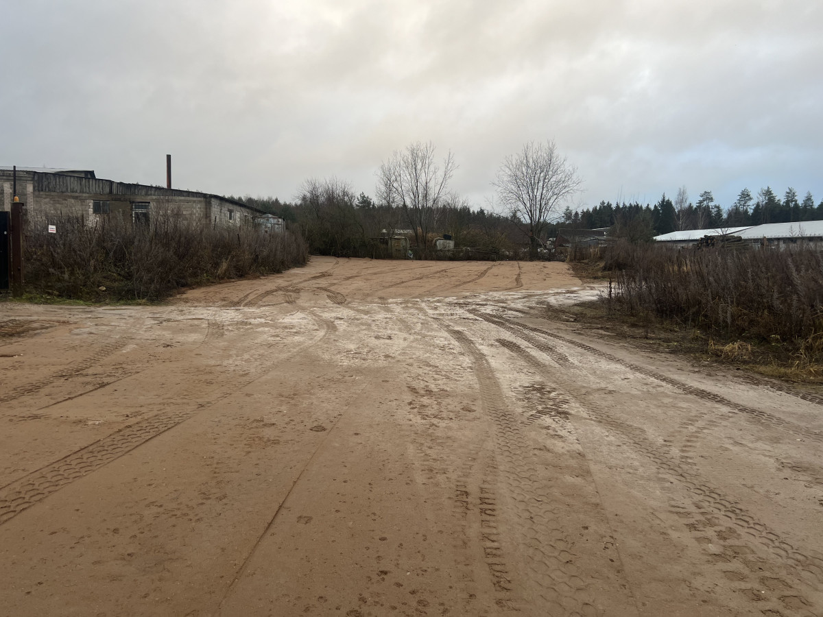 Prautas, MB