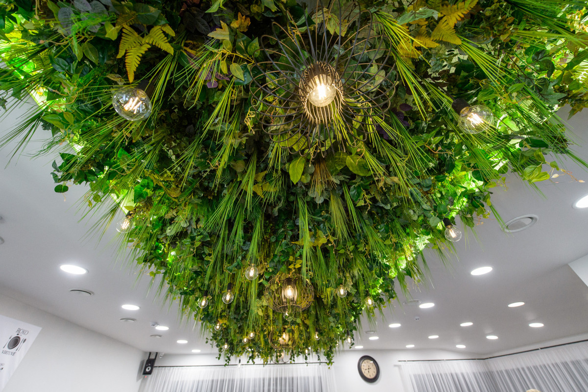 Domi, restoranas, UAB "Roko virtuvė"