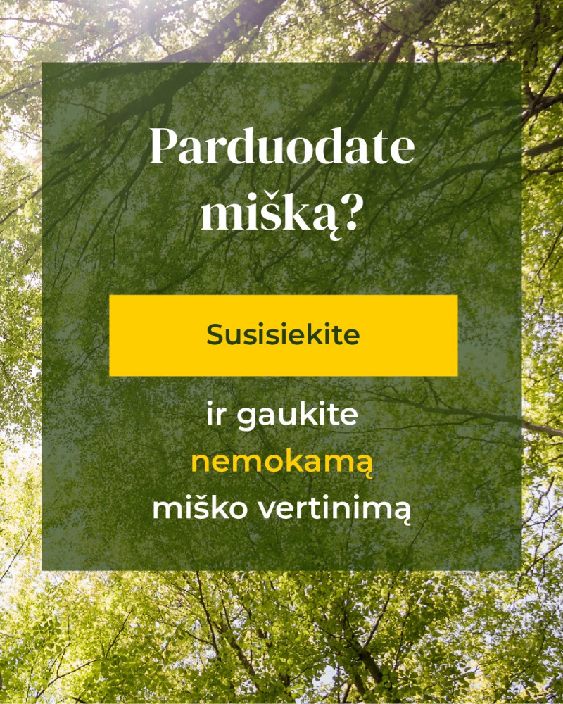 Miškų valdymo agentūra, MB