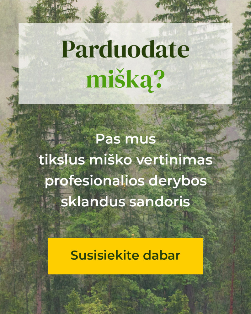 Miškų valdymo agentūra, MB