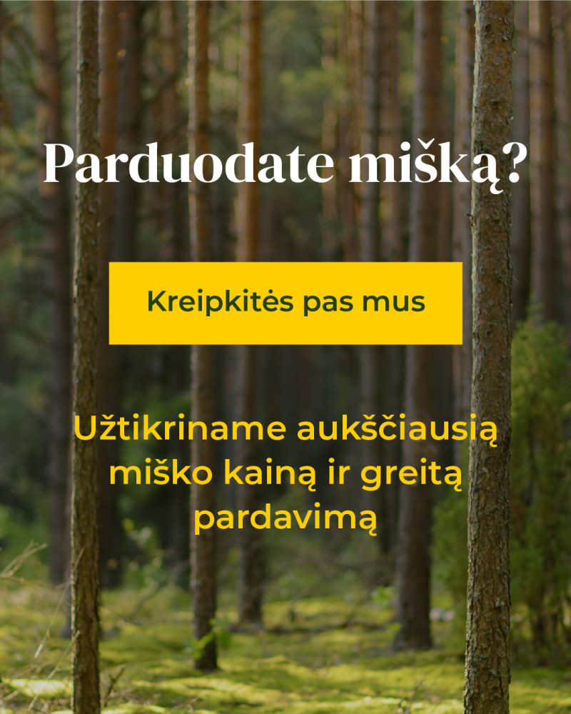 Miškų valdymo agentūra, MB