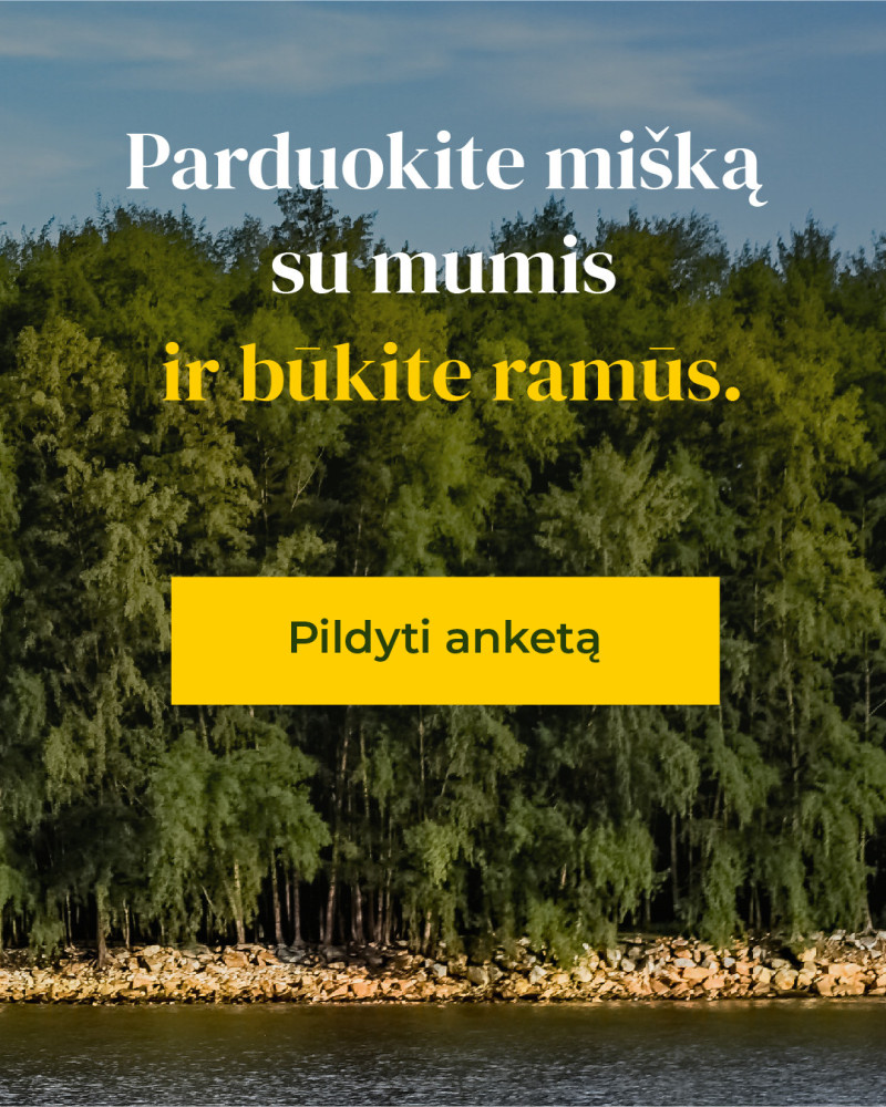 Miškų valdymo agentūra, MB