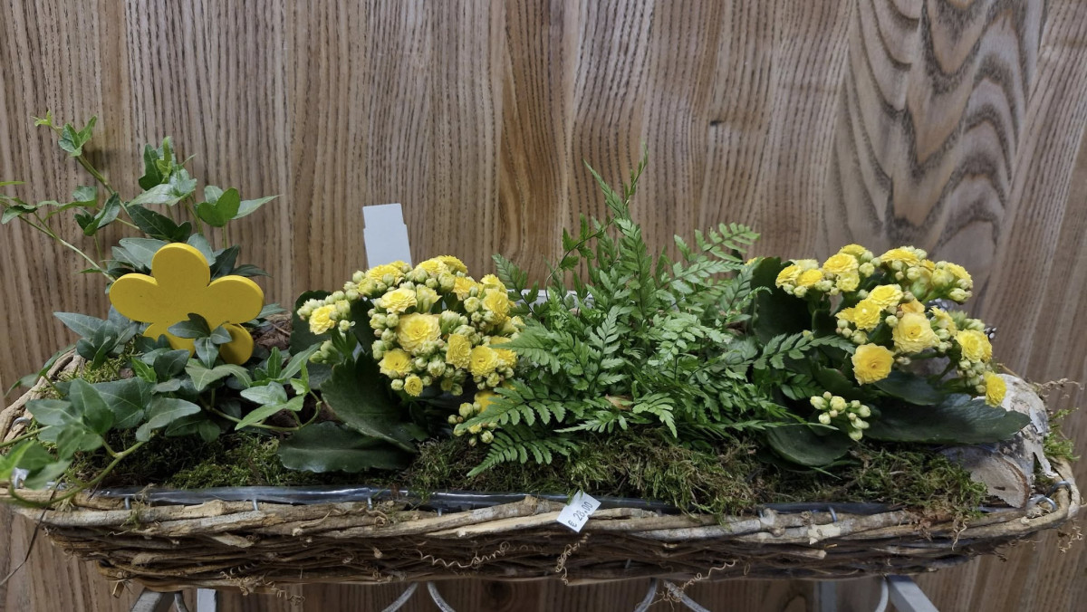 Ledinės gėlės, MB