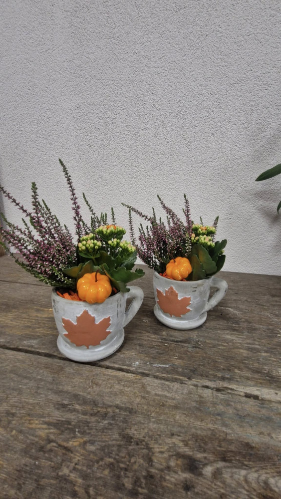 Ledinės gėlės, MB