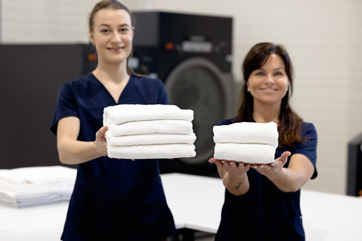 Skalbykla harmonija, MB