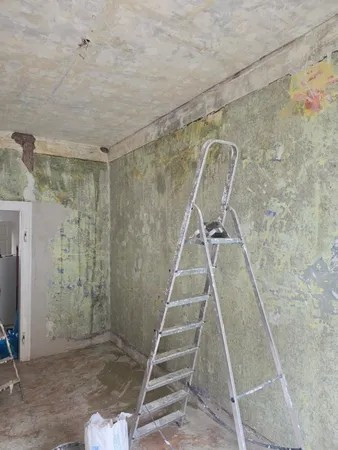 Ausvyta, A. Svystun IVV