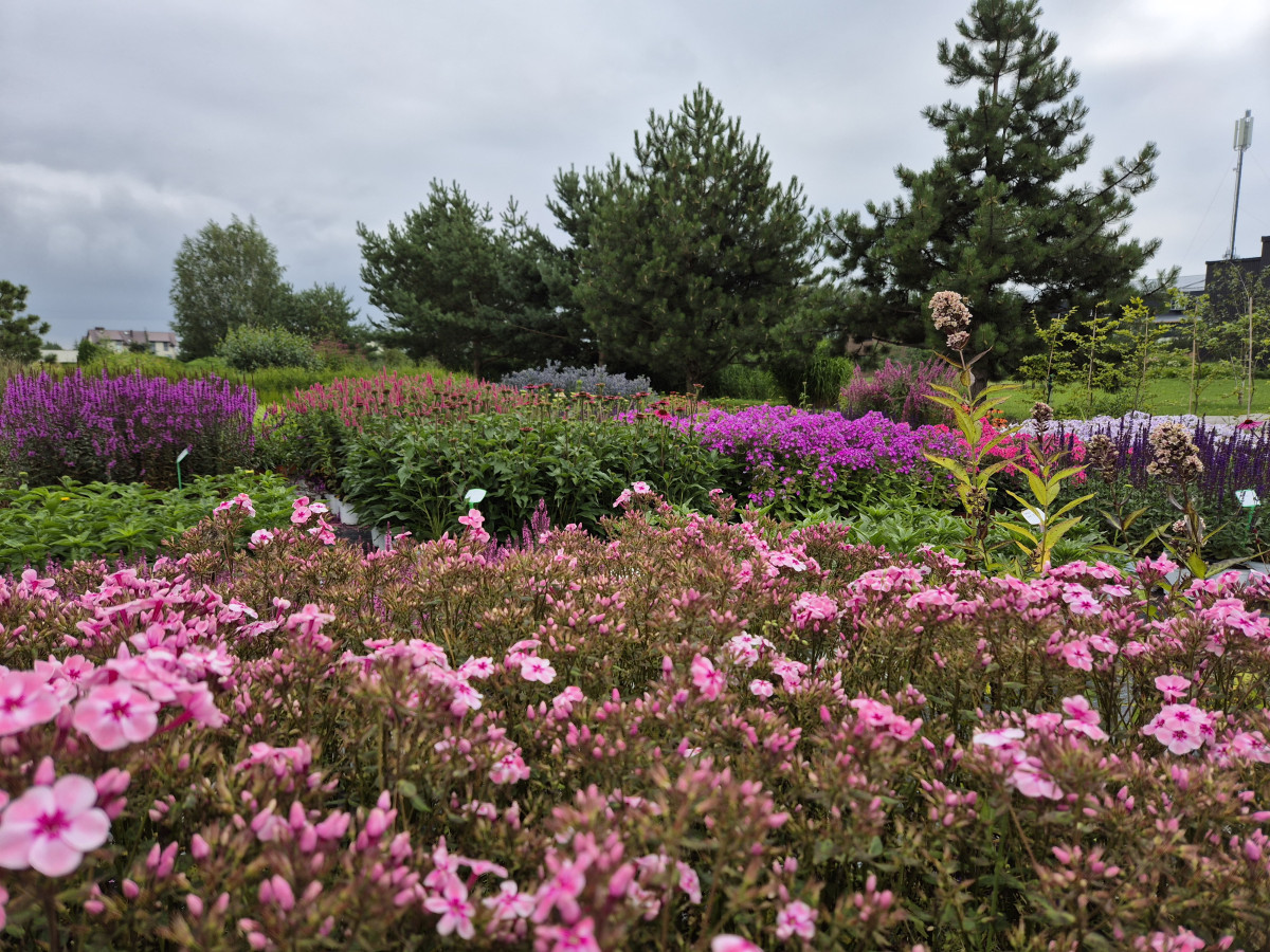 Growup, MB „Užauk“
