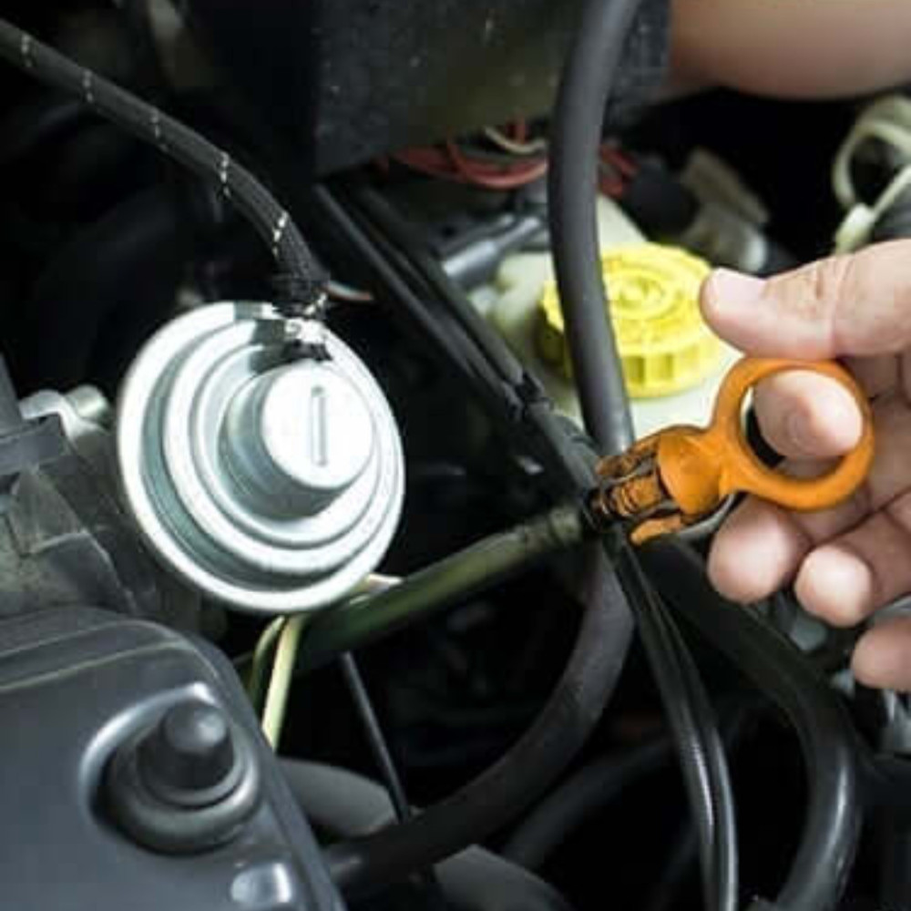 Arūnvilkasa, filialas, MB