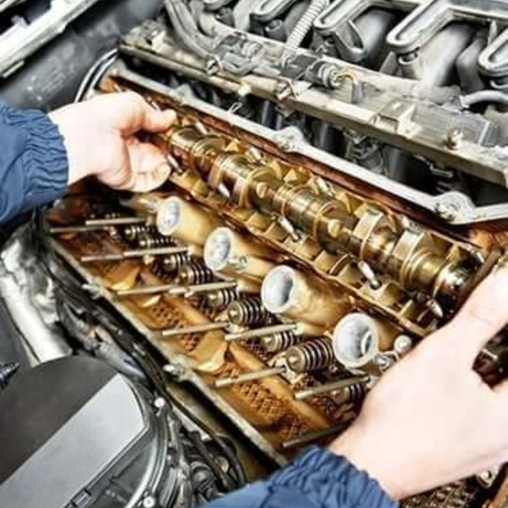 Arūnvilkasa, filialas, MB