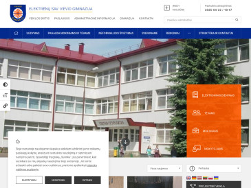 Elektrėnų sav. Vievio gimnazija