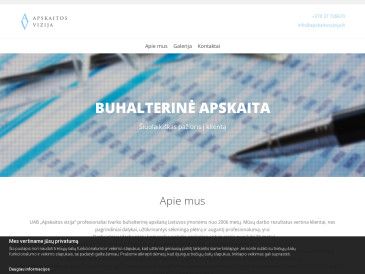 Apskaitos vizija, UAB