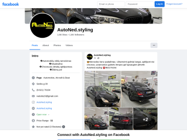 AutoNed Styling
