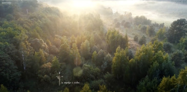 Juodoji rožė, šarvojimo salė Lenkimuose, IĮ