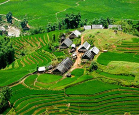 Kaimo plėtros projektai Kaimo plėtros projektai