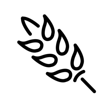 Grūdų gabenimas Grūdų gabenimas