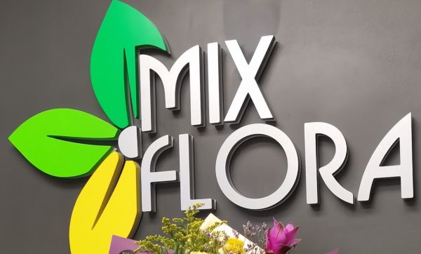Mixflora gėlės Mixflora gėlės