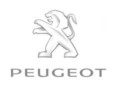 Peugeot 206 2001 1.4B 55kW