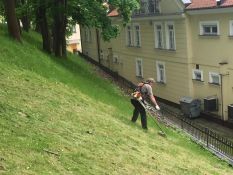 Vejos priežiūra