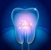Dantų šaknų kanalų profesionalus gydymas ir pergydymas