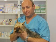 Almantas Andrijauskas VETERINARIJOS GYDYTOJAS