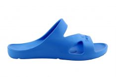 Avalynė Duck