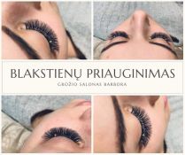 Blakstienų priauginimas