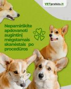 Gyvūnų prekės internetu