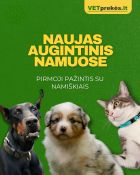 Maistas, skanėstai