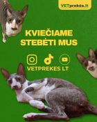 Veterinarijos vaistinė