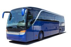 Autobuso teisės, D kategorija