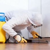 Dezinfekcijos paslaugos