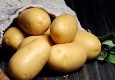 Sėklinės bulvės Torenia