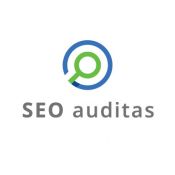 Svetainės SEO auditas