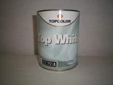 Lubų dažai Top white