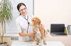 Kraujo morfologiniai ir biocheminiai kraujo tyrimai