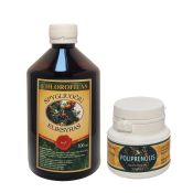 Skystas chlorofilas "Spygliuočių eliksyras" 500ml ir poliprenolis - rinkinys €33.85 Įsigyk pigiau!